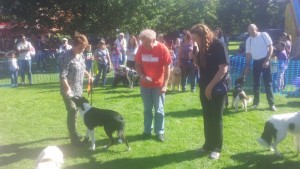 The Pinner Village Show