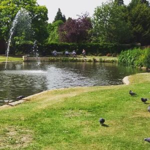 DAY 11 - Sun 12th July - Pinner by @ramyajay19